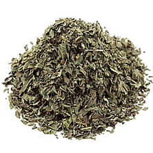 Basil - Ocimum Basilicum L